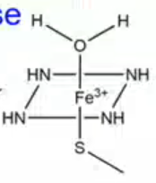 <p>what type of interactions keep CYP450 together? </p>