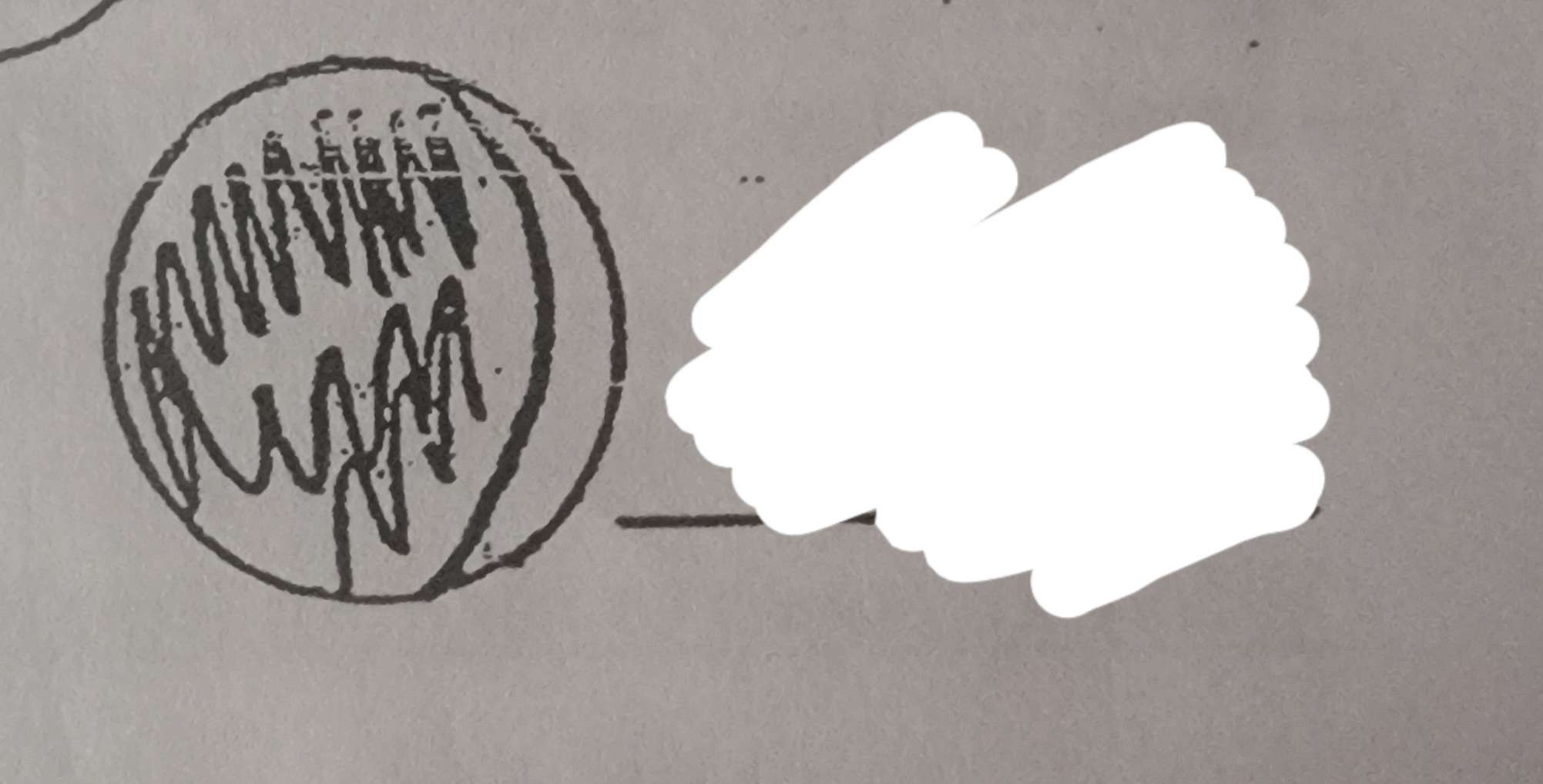 <p>What phase of the moon is this?</p>