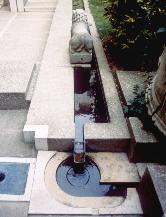 term image