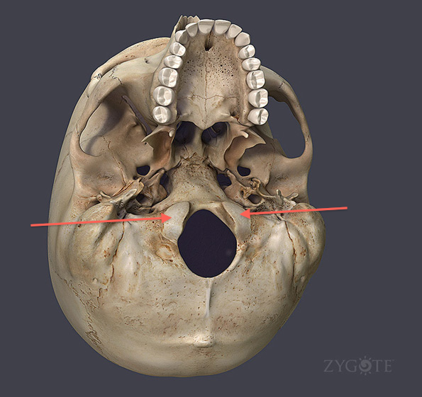 <p>what is this structure?</p>