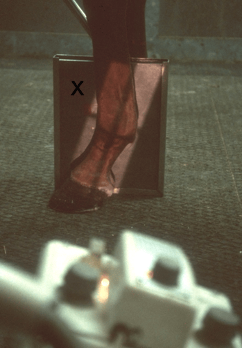 <p>What view is being taken?</p>