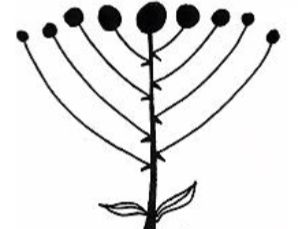 <p>identify the inflorescence</p>