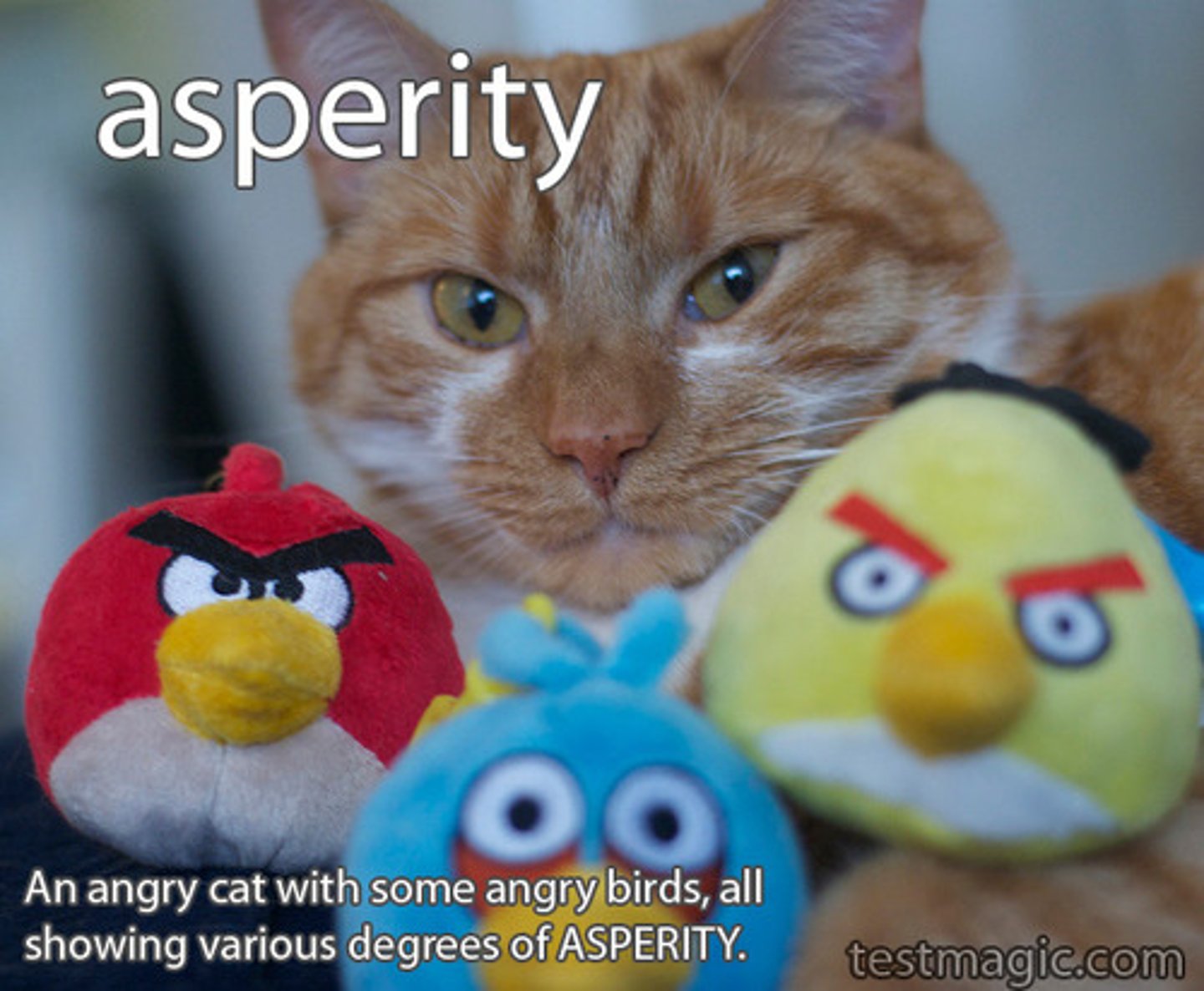 <p>(n) roughness, severity; bitterness or tartness</p><p>(s) rigor, harshness</p><p>(a) mildness, blandness, softness, lenience</p>