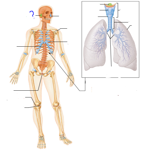 <p>(?)</p>