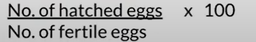 <p>Measurement of the</p><p>efficiency of the</p><p>HATCHERY</p>