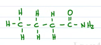 <p>Draw the skeletal structure for butanamide</p>