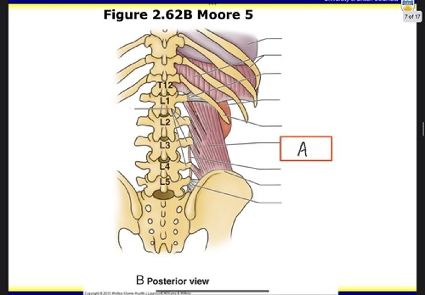 <p>What is A?</p>