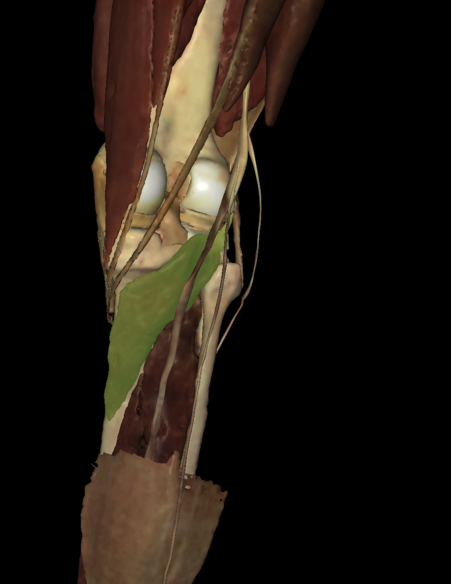<p>Identify the Structure</p>