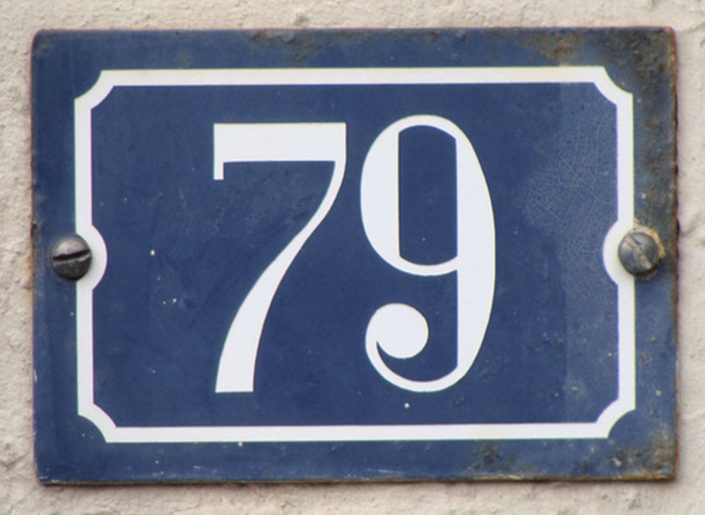<p>79</p>