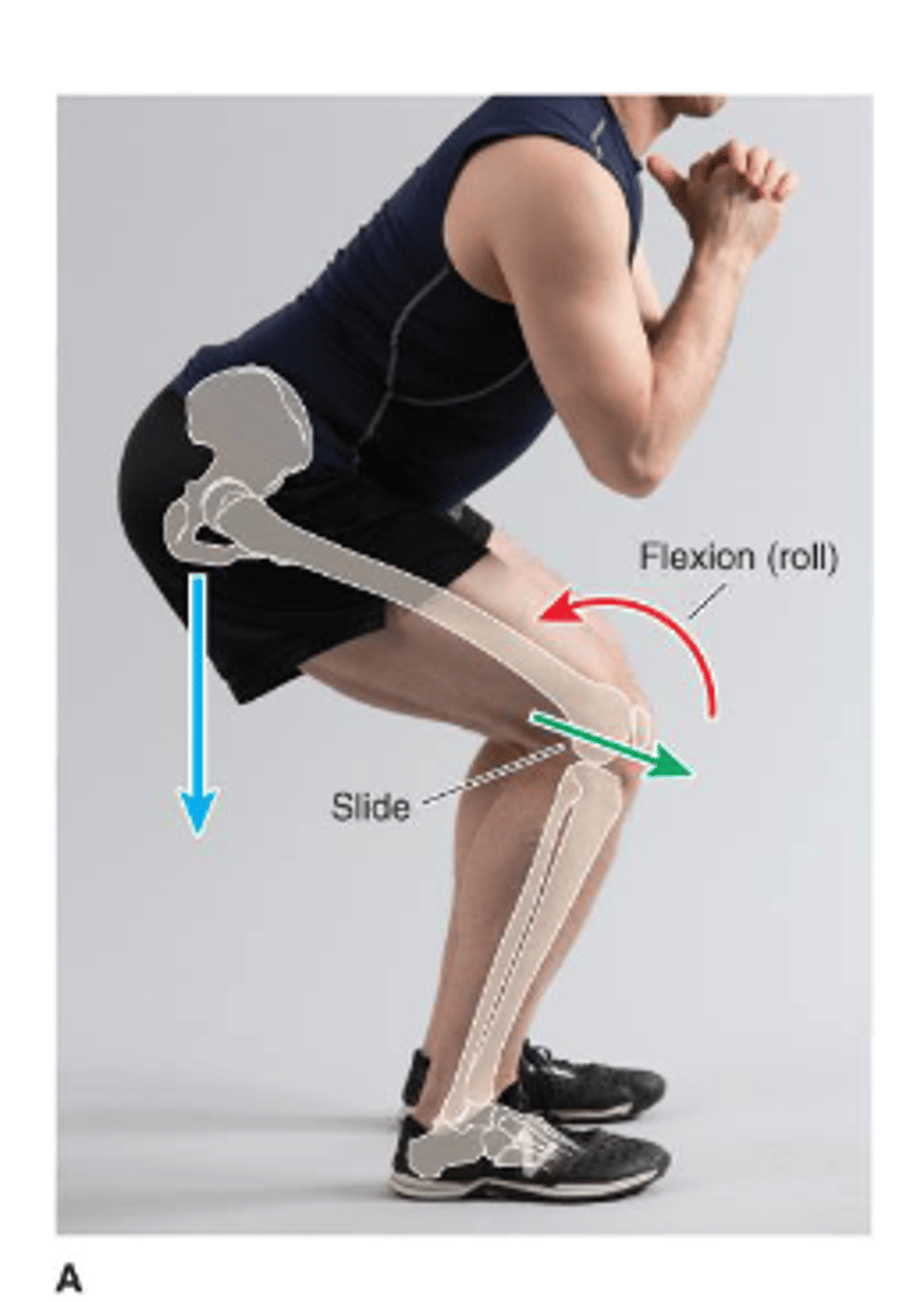 <p>1. In CKC Femoral-on-tibial flexion, what is the roll and glide?</p>