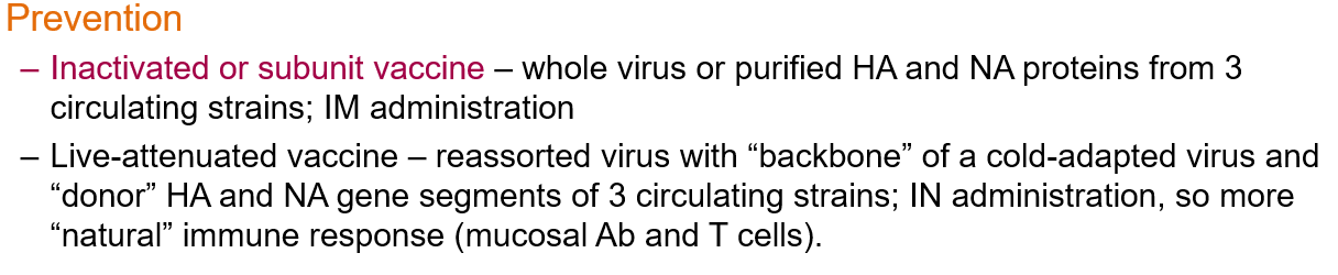 <p><strong>Vaccination</strong></p><ul><li><p><strong>Inactivated or subunit vaccine</strong>: contains whole virus or purified HA/NA proteins from 3 strains, given intramuscularly.</p></li></ul><p></p>