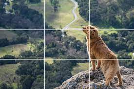Something your eyes are drawn to in a picture and you shouldn’t put it in the middle. 