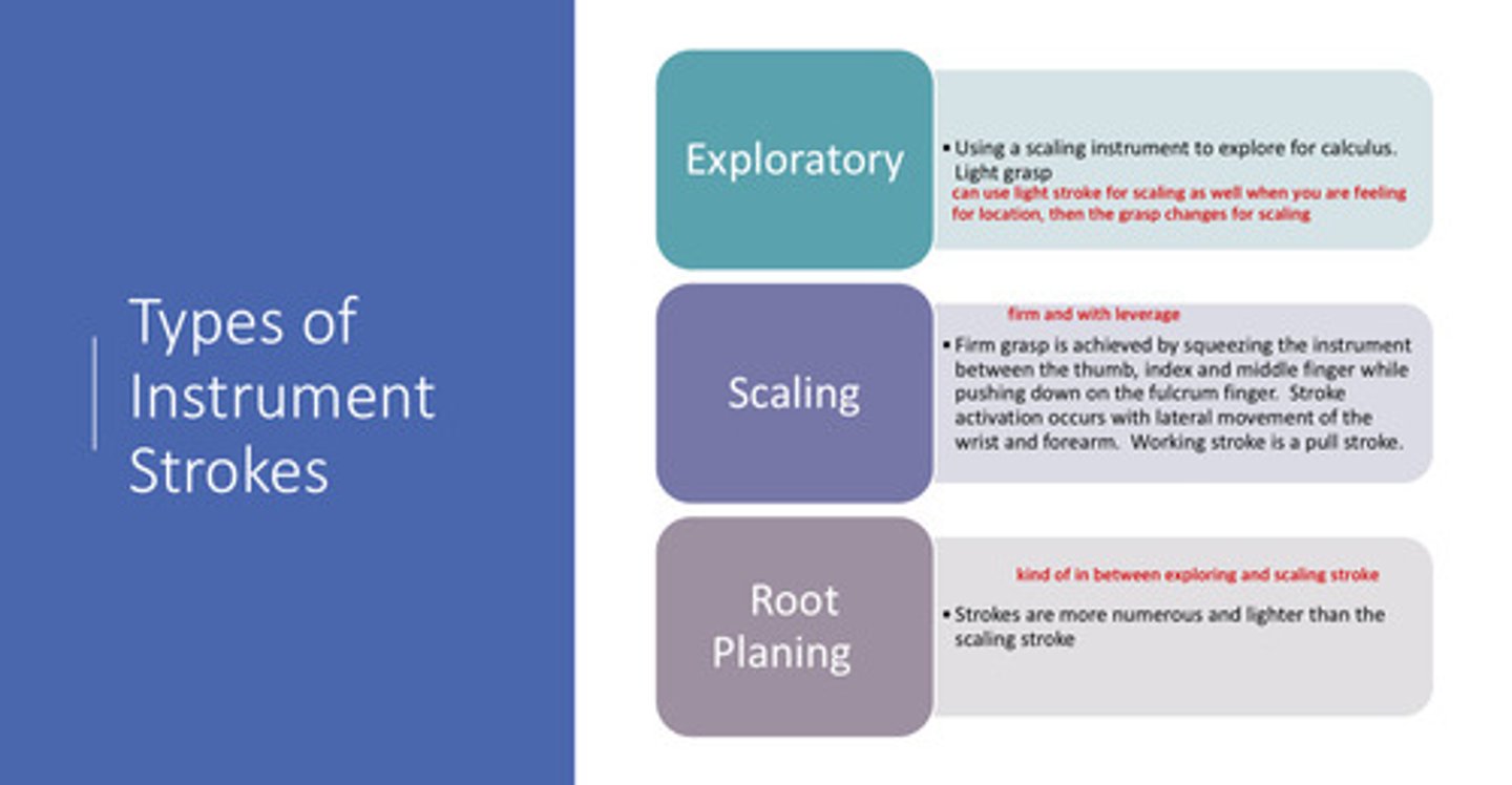 <p>strokes are more numerous and lighter than the scaling stroke (kind of in between exploring and scaling stroke)</p>
