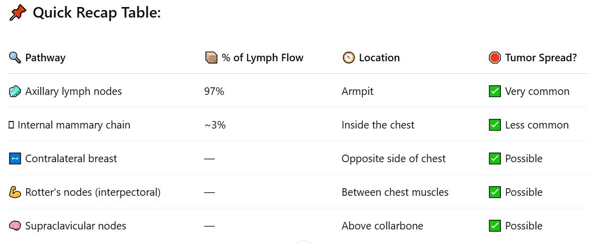<p><span data-name="repeat" data-type="emoji">🔁</span> <strong>How Lymph Moves</strong></p><ul><li><p class="">Lymph = clear fluid that helps clean tissues &amp; fight infection</p></li><li><p class=""><span data-name="no_entry_sign" data-type="emoji">🚫</span> Lymph vessels <strong>have no valves</strong> → fluid flows one way only:<br><span data-name="arrow_right" data-type="emoji">➡</span> <strong>Superficial nodes → deep nodes</strong></p></li></ul><div data-type="horizontalRule"><hr></div><p><span data-name="round_pushpin" data-type="emoji">📍</span> <strong>Main Drainage Path</strong></p><ul><li><p class=""><span data-name="soap" data-type="emoji">🧼</span> Most of the lymph (about <strong>97%</strong>) drains to the <strong>axillary lymph nodes</strong> (in the armpit area)</p></li><li><p class=""><span data-name="test_tube" data-type="emoji">🧪</span> Only about <strong>3%</strong> drains to the <strong>internal mammary chain</strong> (inside the chest)</p></li></ul><div data-type="horizontalRule"><hr></div><p><span data-name="motorway" data-type="emoji">🛣</span> <strong>Lymph Flow Pathway</strong></p><ol><li><p class="">Starts in <strong>intramammary</strong> &amp; <strong>deep nodes</strong></p></li><li><p class="">Flows outward (centrifugally) <span data-name="arrow_right" data-type="emoji">➡</span> toward:</p><ul><li><p class=""><span data-name="octagonal_sign" data-type="emoji">🛑</span> <strong>Axillary lymph nodes</strong> (main route)</p></li><li><p class=""><span data-name="octagonal_sign" data-type="emoji">🛑</span> <strong>Internal mammary chain</strong> (small role)</p></li></ul></li></ol><p></p><div data-type="horizontalRule"><hr></div><p><span data-name="warning" data-type="emoji">⚠</span> <strong>Tumor Spread</strong></p><ul><li><p class="">Most breast tumors spread through the <strong>axillary nodes</strong></p></li><li><p class="">But some can also spread to:</p><ul><li><p class=""><strong>Internal mammary nodes</strong> (in chest)</p></li><li><p class=""><span data-name="left_right_arrow" data-type="emoji">↔</span> Across the <strong>midline</strong> to the <strong>opposite breast</strong></p></li><li><p class=""><span data-name="muscle" data-type="emoji">💪</span> <strong>Interpectoral (Rotter’s) nodes</strong> (between chest muscles)</p></li><li><p class=""><span data-name="brain" data-type="emoji">🧠</span> <strong>Supraclavicular nodes</strong> (above the collarbone)</p></li></ul></li></ul><p></p>