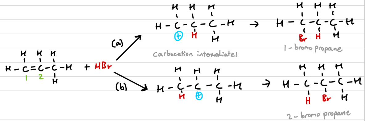 <p>When the double bond is not in the middle, 2 different carbocation intermediates can be formed.</p>