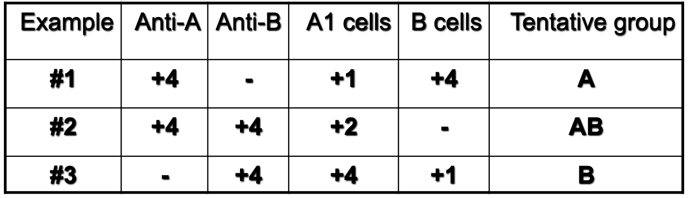 <p>which example depicts rouleux?</p>