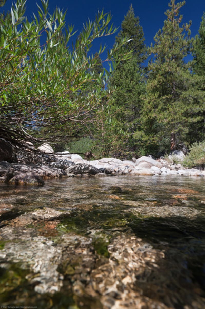 <p>California</p>