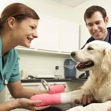 <p>What is one purpose of applying the pictured bandage </p>