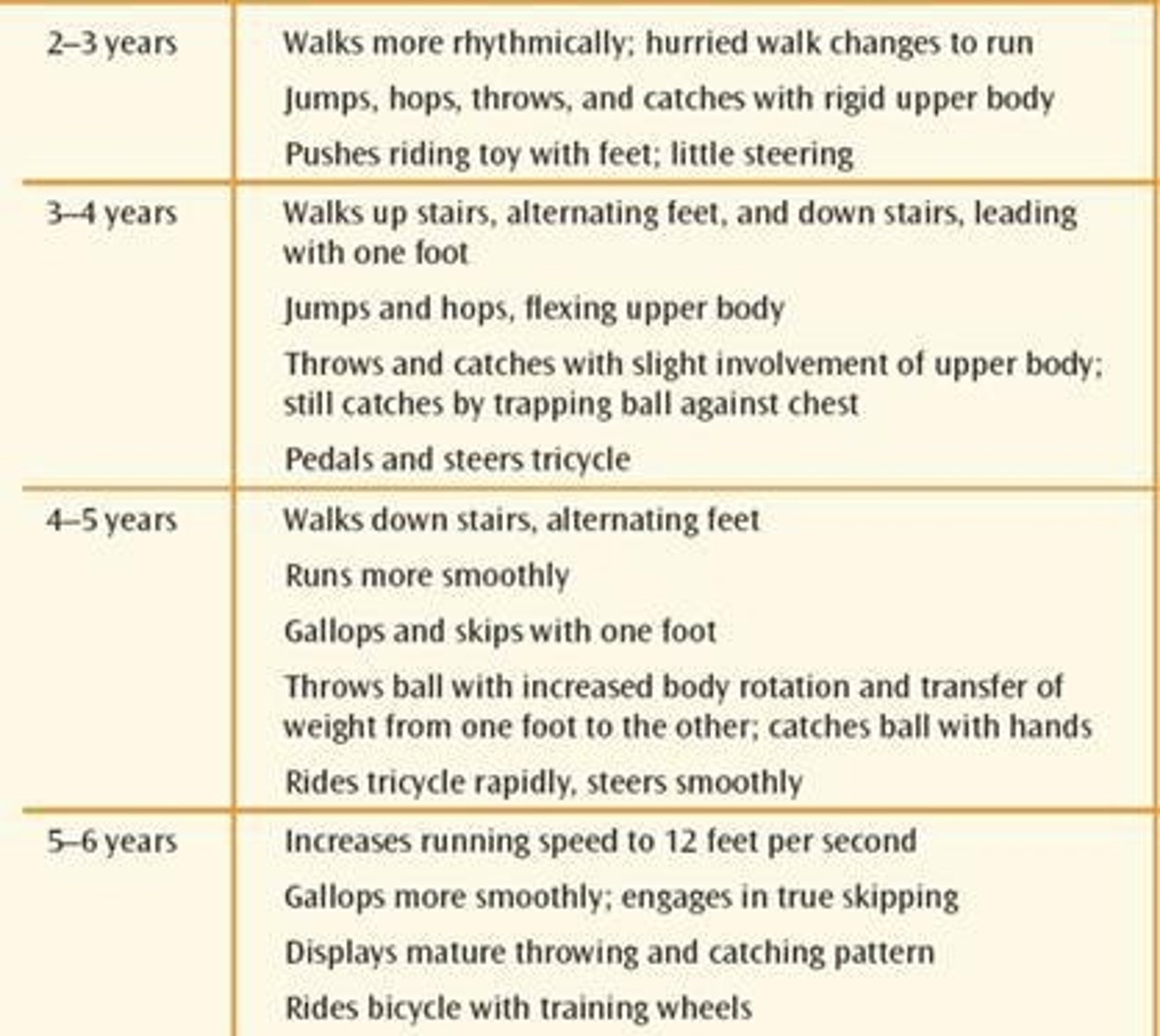 <p>Children develop a more adult-like center of gravity, increased strength and coordination, and improved endurance and metabolism for sustained physical activity.</p>