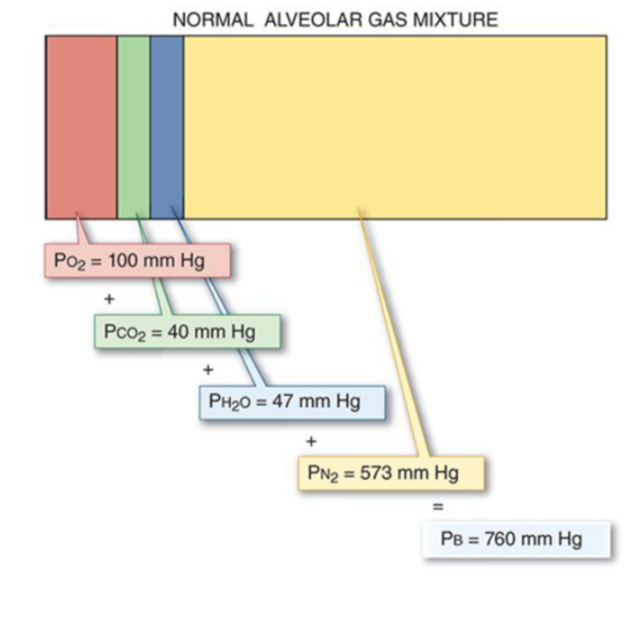 <p>What is this image illustrating?</p>