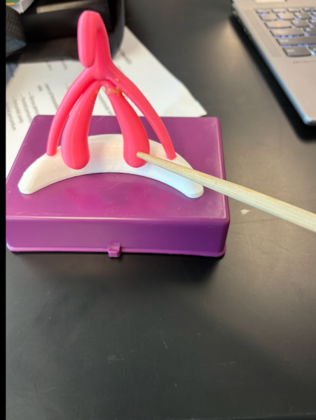 <p>What is this?</p>