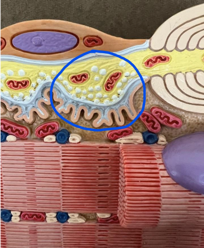 <p>What is this?</p>