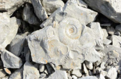 <p>Wat wordt hier voorgesteld + korte beschrijving</p><p></p>