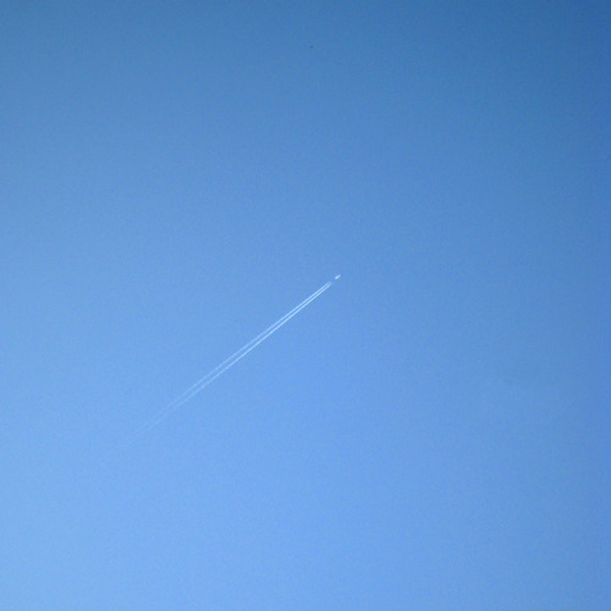 <p>In the summer the sky is blue.</p>
