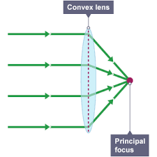 <p>convex lenses</p>