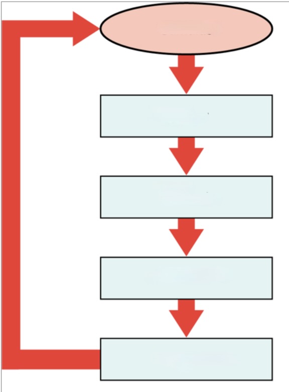 <p>negative feedback loop</p>