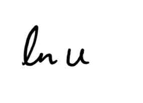 term image