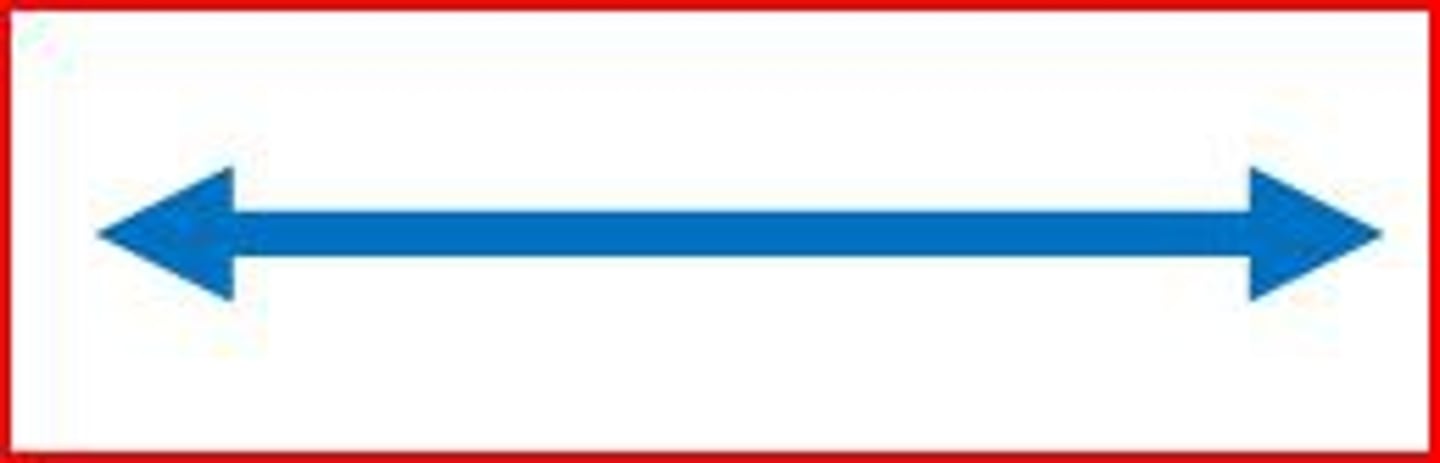 <p>An infinite set of connected points continuing without end in both directions.</p>