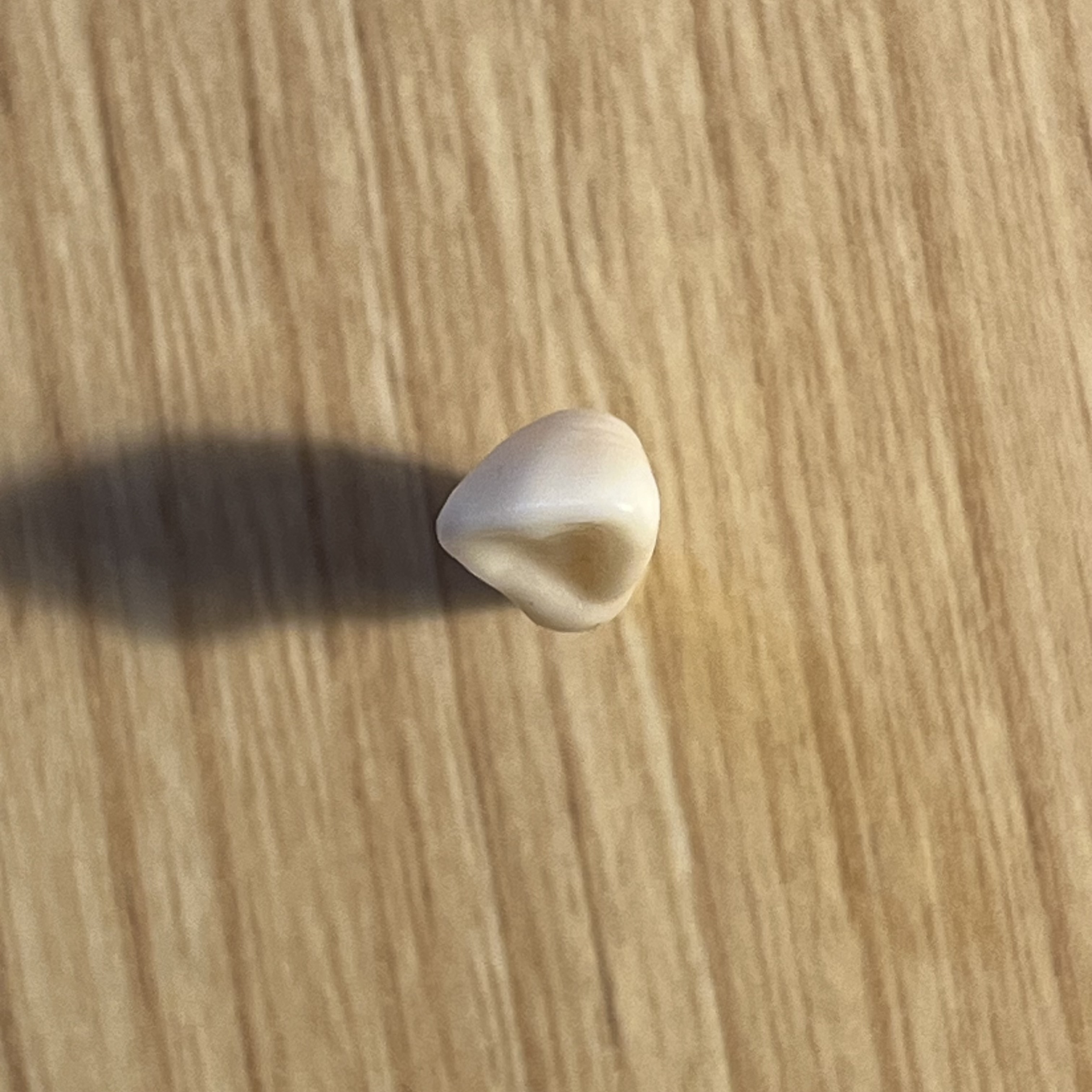 <p>What tooth is this (with view)?</p>
