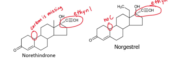 <ul><li><p>will not have -CH3 at position 19</p></li><li><p>will have ethynyl group</p></li></ul><p></p>