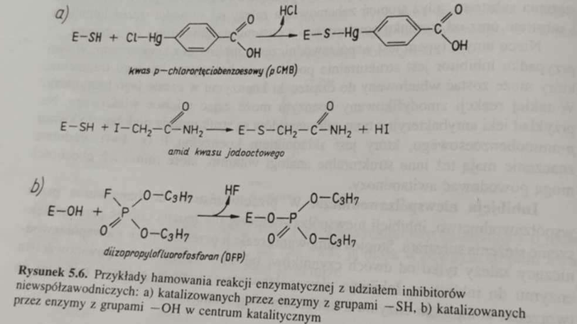 <p><span>🛑🗺 </span>Inhibitor <strong>nie łączy się z centrum aktywnym, tylko z innym fragmentem enzymu</strong>, co zmienia strukturę centrum aktywnego uniemożliwiając tworzenie kompleksu enzym-substrat ES - nie rywalizuje z substratem, więc jest niewrażliwy na wzrost stężenia substratu [S].</p><p><span data-name="info" data-type="emoji">ℹ</span><span data-name="octagonal_sign" data-type="emoji">🛑</span> Klasycznym przykładem jest inhibitor <em>pepstatyna</em>, która może hamować <em>reninę</em>.</p><p><span data-name="chart_decreasing" data-type="emoji">📉</span><span data-name="question" data-type="emoji">❓</span><span><span> </span></span>Spada wartość V<sub>max</sub>, wartość K<sub>M</sub> pozostaje niezmieniona.</p>