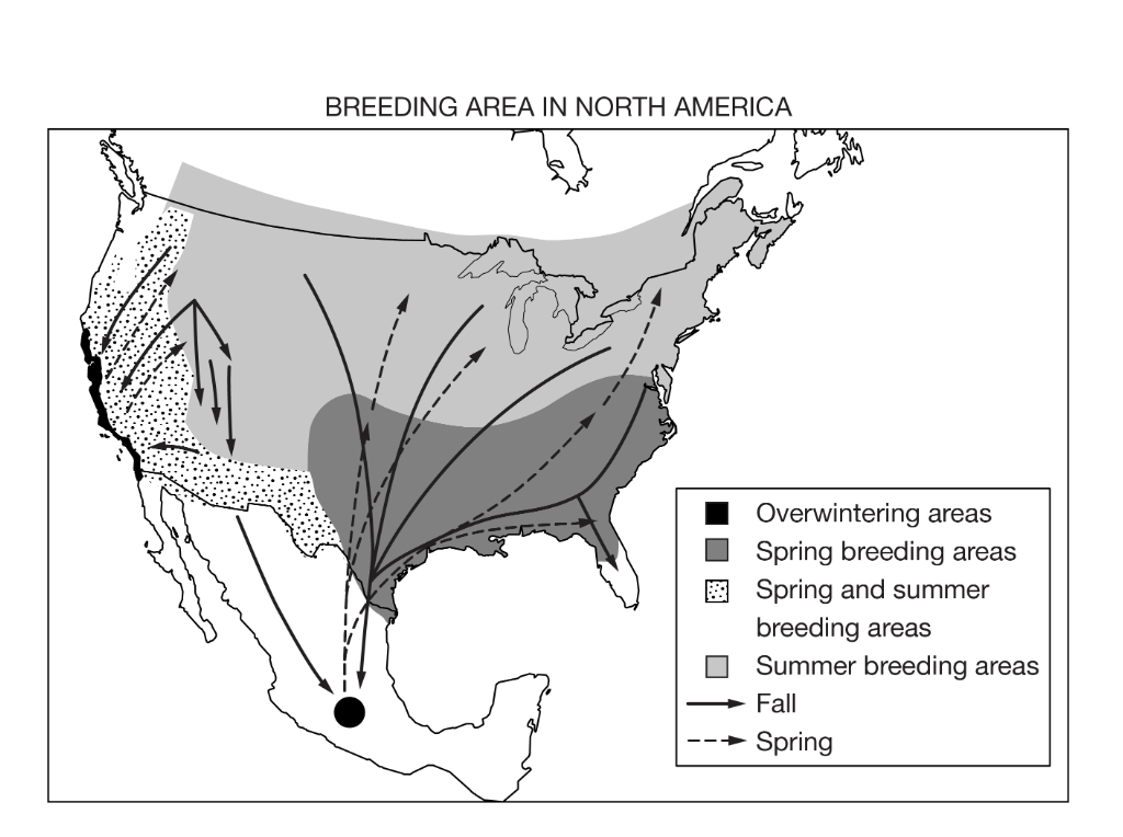 <p>Which of the following explanations is best supported by the data shown in the map above?</p><p><strong>A</strong></p><p class="choice_paragraph">Earth’s climate has changed over geological time, and plates on Earth’s crust have shifted.</p><p><strong>B</strong></p><p class="choice_paragraph">Sea level rise has led to an increased concentration of wildlife inland as the coastal areas flood.</p><p><strong>C</strong></p><p class="choice_paragraph">Organisms adapt to human population growth by changing at the genetic level.</p><p><strong>D</strong></p><p class="choice_paragraph">Animals migrate seasonally to mate and to find food in different habitats.</p>