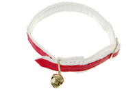 <p><strong>a strap made of leather or other strong material that is put around the neck of an animal, especially a dog or cat:</strong></p><p><br></p>