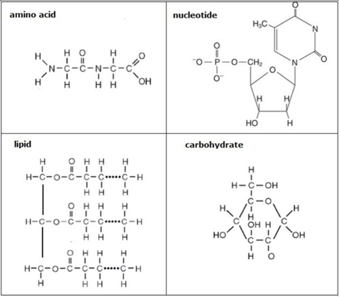 <p>Carbon-based molecules</p>