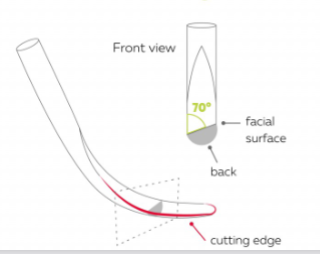 <p>Only 1 cutting edge</p><p>Slightly&nbsp;“tilted”</p><p>Can be area specific</p><p>Have a mini version better for cats</p>