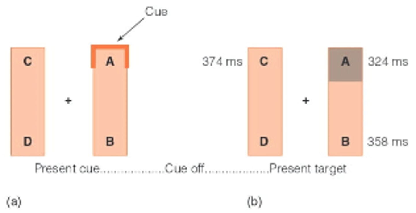 <p>The faster responding that occurs when enhancement spreads within an object.</p>