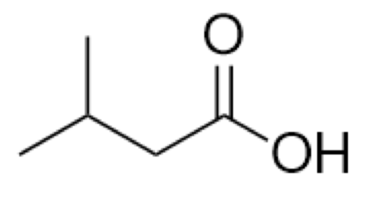 <p></p>