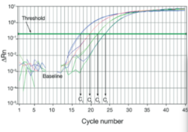 <p>Het cyclusnummer waarbij het fluorescerende signaal van de reactie de threshold passeert. Het is omgekeerd evenredig met de startconcentratie aan DNA: bij een dubbele starthoeveelheid tov van een ander sample wordt de Ct met 1 cyclus eerder bereikt. Dit kan logaritmisch in een grafiek worden weergegeven.</p>
