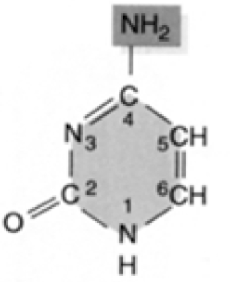 What  nucleic acid is this?