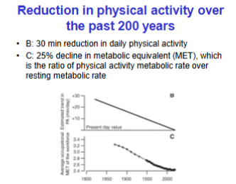 <p>Ratio of physical activity metabolic rate over resting rate, 25% decline</p>