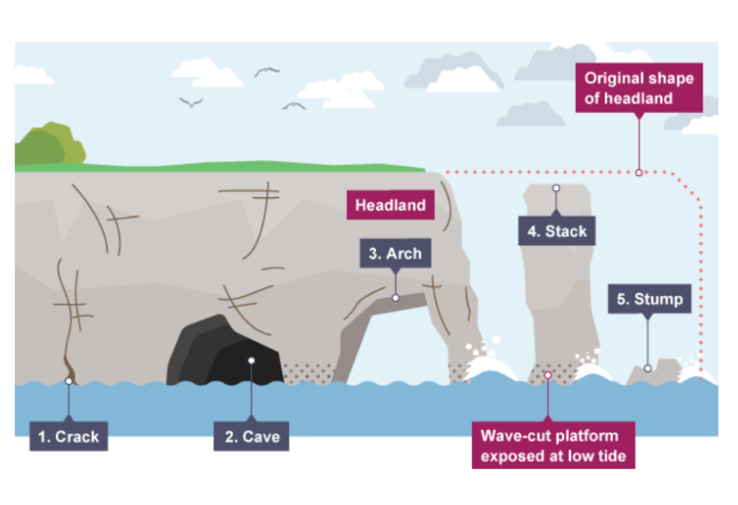 <p>large crack opened up by hyrdaulic action</p><p>the crack grows into a cave by hydraulic action and abrasion</p><p>the cave becomes larger</p><p>cave breaks through the headland forming natural arch</p><p>the arch is eroded and collapses </p><p>this leaves a tall rock stack </p><p>the stack is eroded forming a stump </p>