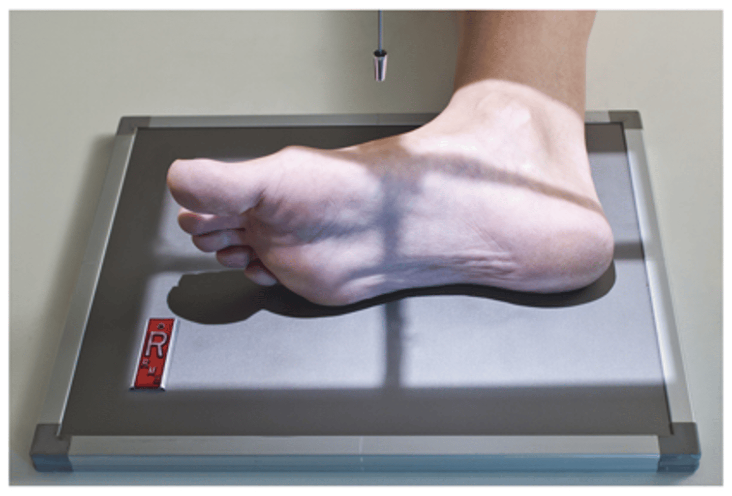 <p>What projection is this?</p>