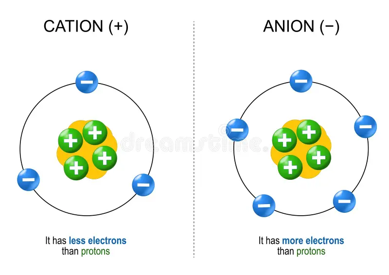<p>atoms (or molecules) that have lost or gained electrons and have an electrical charge</p>