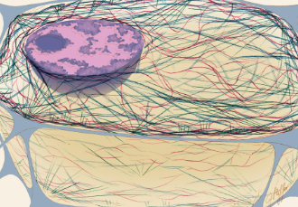 <p>Kind of looks like loose fibers or hair in the cell</p><p>What part of the cell is this and what is its function&nbsp;</p>