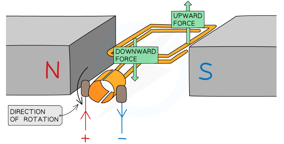 <ul><li><p>a coil of wire which is free to rotate positioned in a uniform magnetic field</p></li><li><p>when the current flows at 90<span>° to the direction of the mag field, the current creates a magnetic field around the coil, which interacts with the uniform mag field produced by magnets</span></p></li><li><p><span>force is exerted on the coil (direction determined by Fleming’s LHR). current flows in opposite directions either side of coil, so one side pushed up and one down</span></p></li><li><p>split ring commutator swaps the sliding contacts as the coil rotates, reversing the current every half turn.</p></li><li><p>this reverses the direction of the force exerted on each end of the coil, so it keeps rotating in the same direction</p></li></ul>