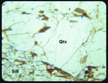 <p>Colorless, No cleavage, Low relief, no pleochroism, 1st order birefringence, undulatory extinction type, no twinning, metamorphic</p>